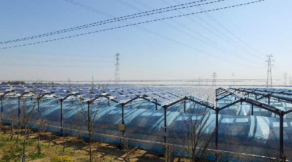 腾博汇游戏官网 - 诚信为本,专业服务!