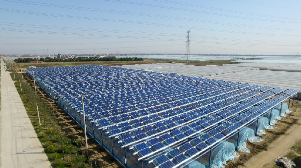 腾博汇游戏官网 - 诚信为本,专业服务!