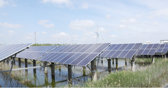 腾博汇游戏官网 - 诚信为本,专业服务!