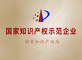 国度知识产权示范企业