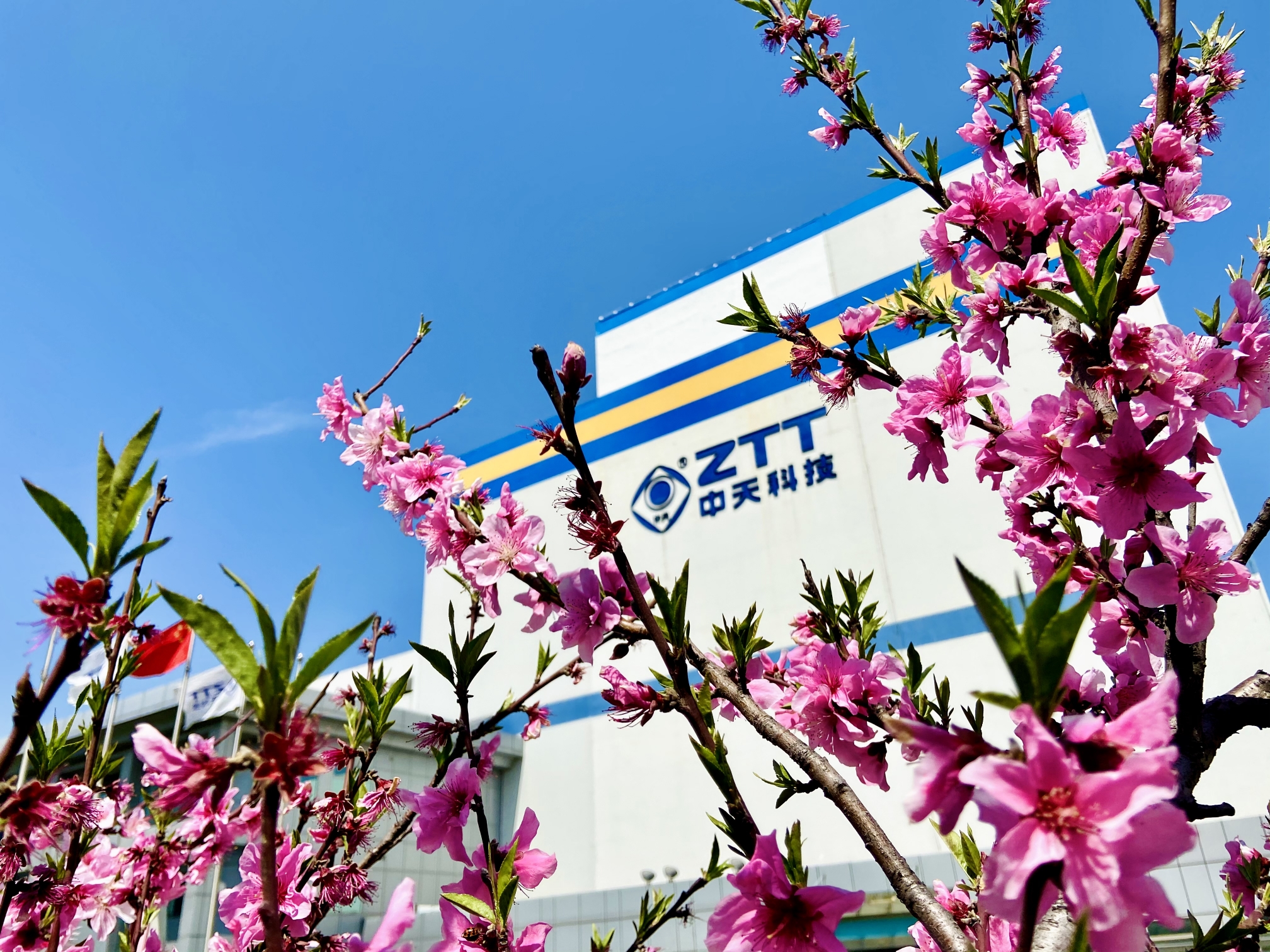 腾博汇游戏官网 - 诚信为本,专业服务!