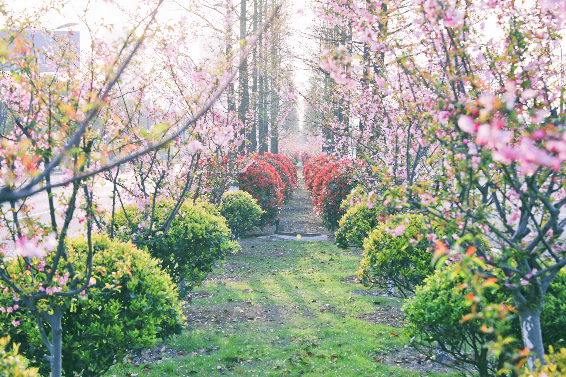 腾博汇游戏官网 - 诚信为本,专业服务!