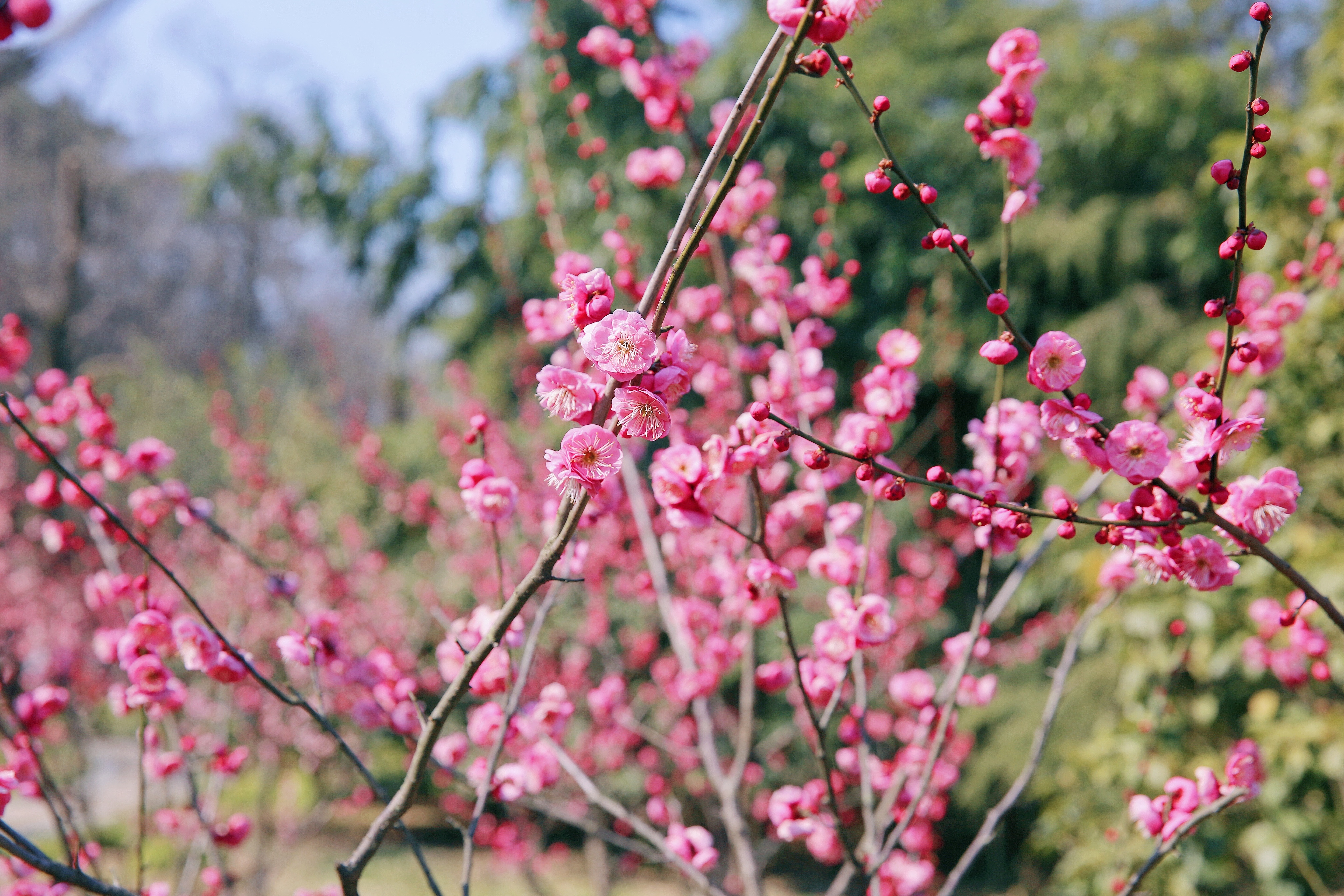 腾博汇游戏官网 - 诚信为本,专业服务!